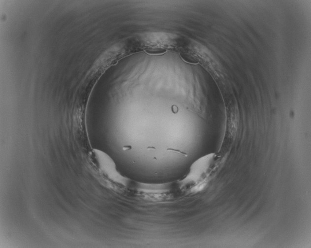 X0000083620473200702121145