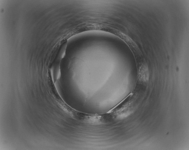 X0000083620474200702121145