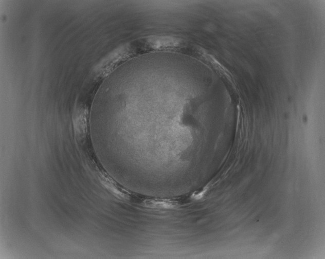 X0000083620475200702121145