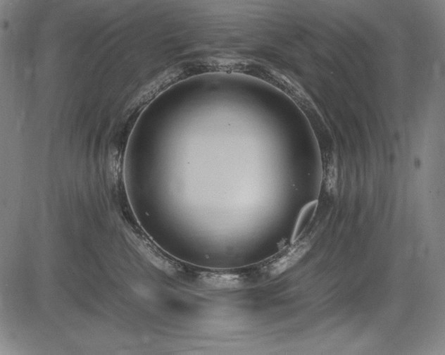 X0000083620476200702121145
