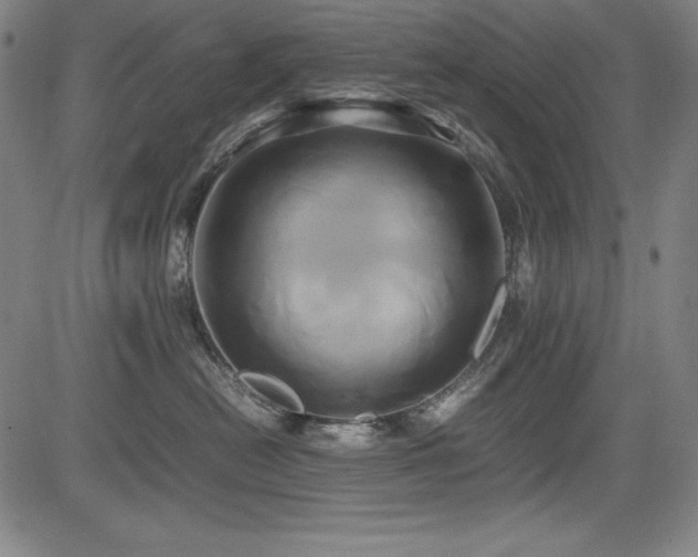X0000083620478200702121145