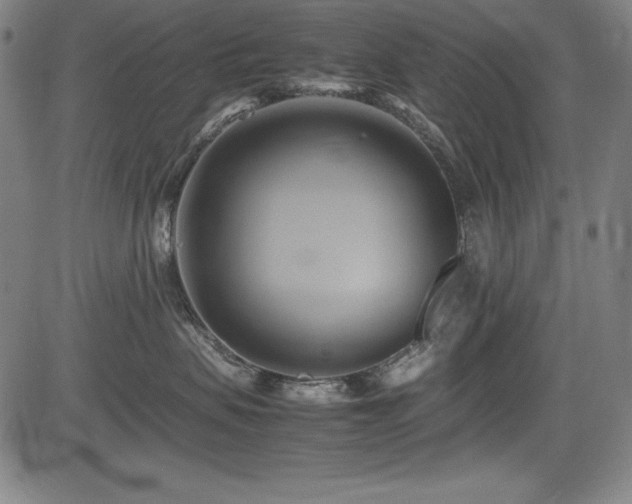 X0000083620479200702121145
