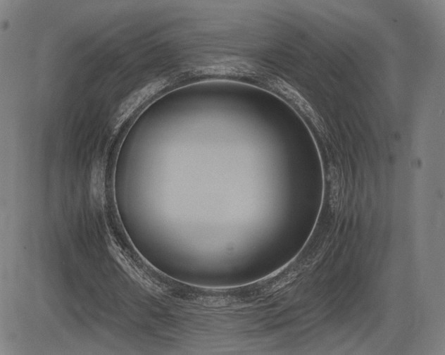 X0000083620482200702121144