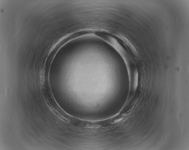 X0000083620484200702121144