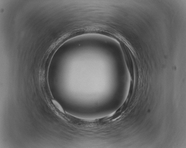 X0000083620485200702121144
