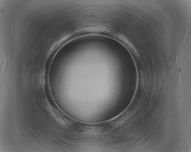 X0000083620486200702121144