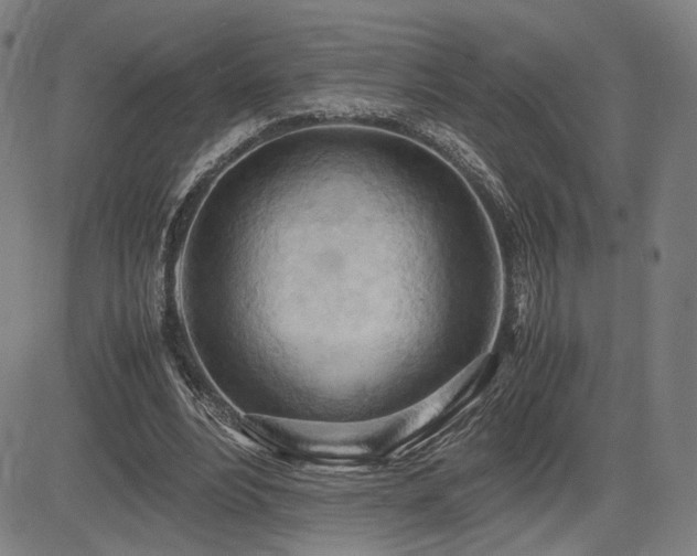 X0000083620488200702121144