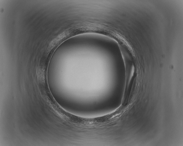 X0000083620489200702121144
