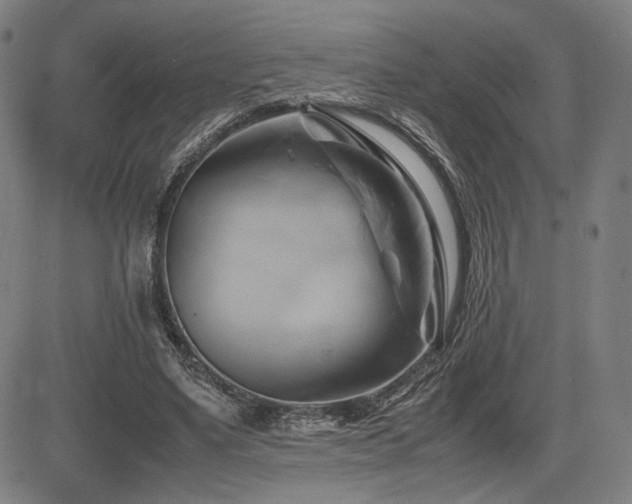 X0000083620491200702121144