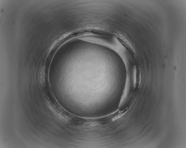 X0000083620492200702121144