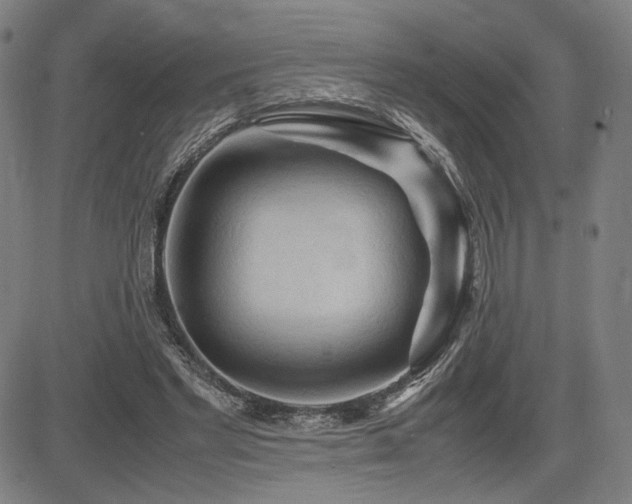 X0000083620493200702121144