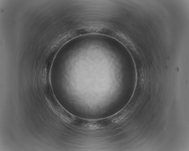 X0000083620498200702121144