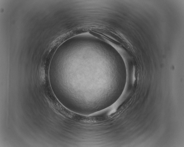X0000083620500200702121144