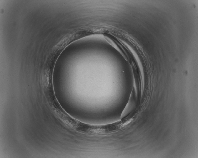 X0000083620501200702121144