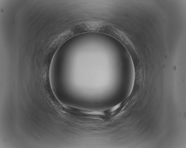 X0000083620505200702121144