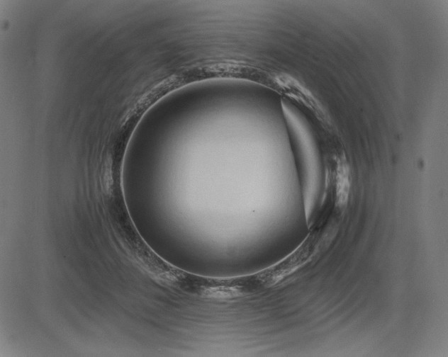 X0000083620508200702121144