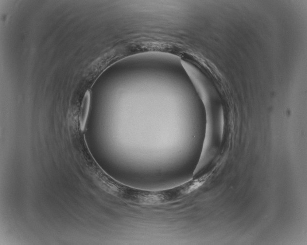 X0000083620513200702121144