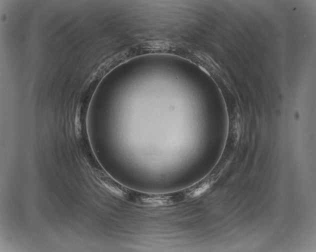 X0000083620516200702121144