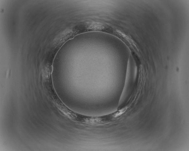 X0000083620517200702121144