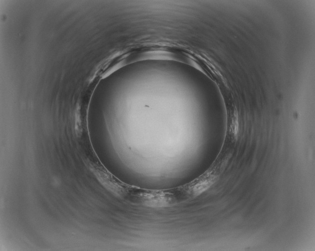 X0000083620524200702121143