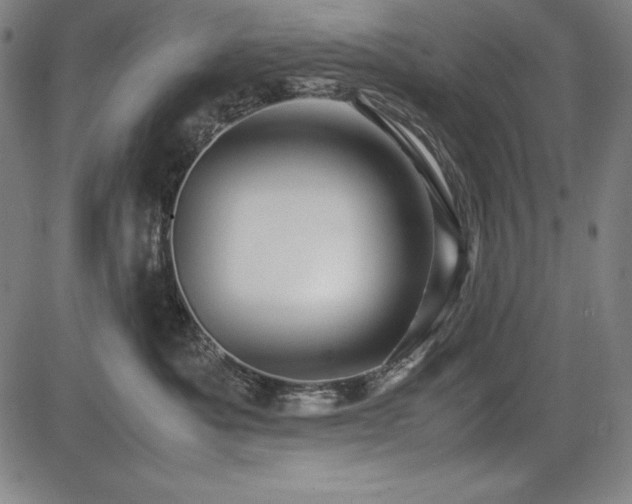 X0000083620525200702121143