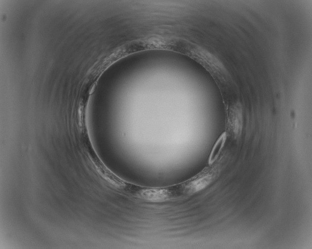 X0000083620526200702121143
