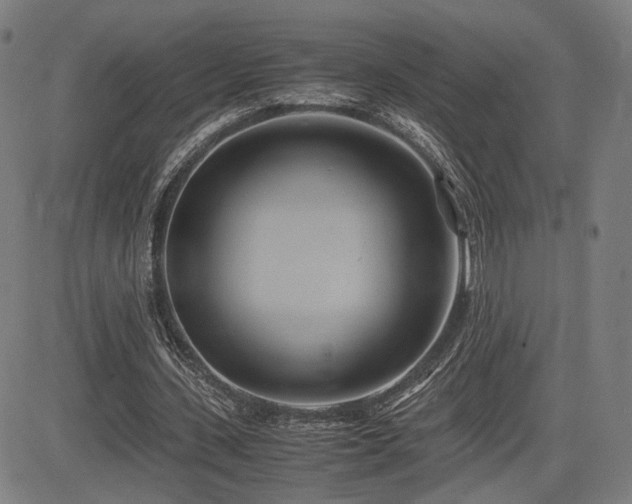 X0000083620531200702121143