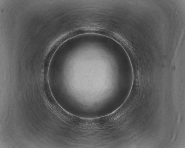 X0000083620535200702121143