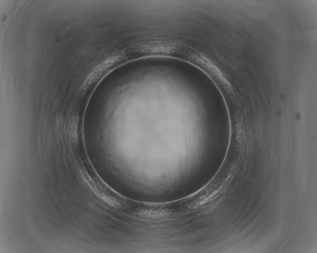 X0000083620537200702121143
