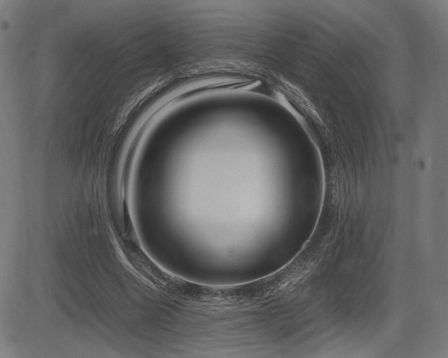X0000083620538200702121143