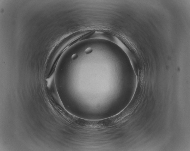 X0000083620540200702121143