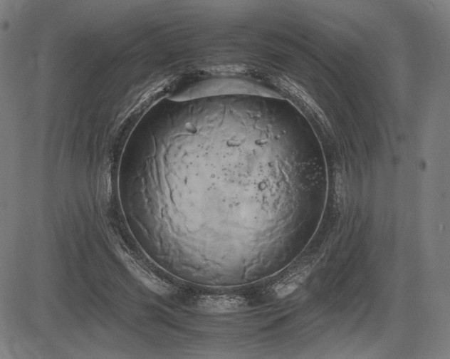 X0000083620541200702121143