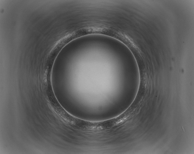X0000083620543200702121143