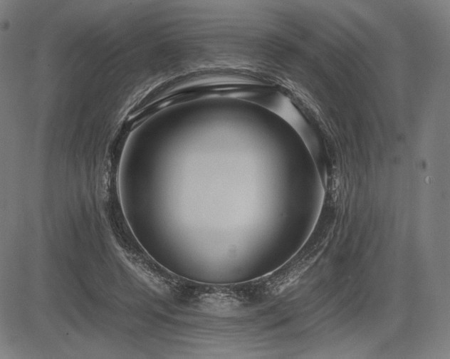 X0000083620544200702121143