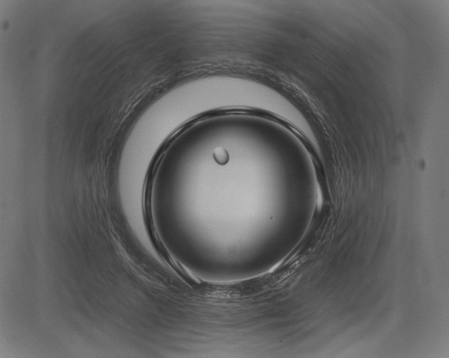 X0000083620546200702121143