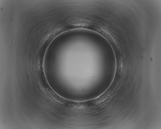 X0000083620547200702121143