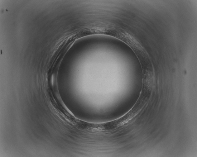 X0000083620548200702121143