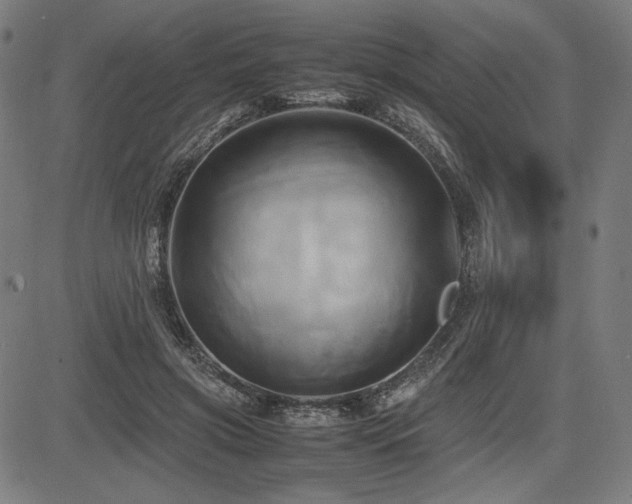 X0000083620549200702121143