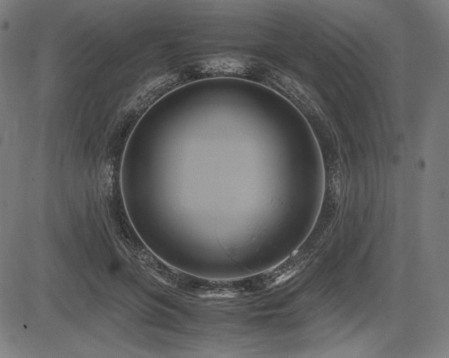 X0000083620551200702121143