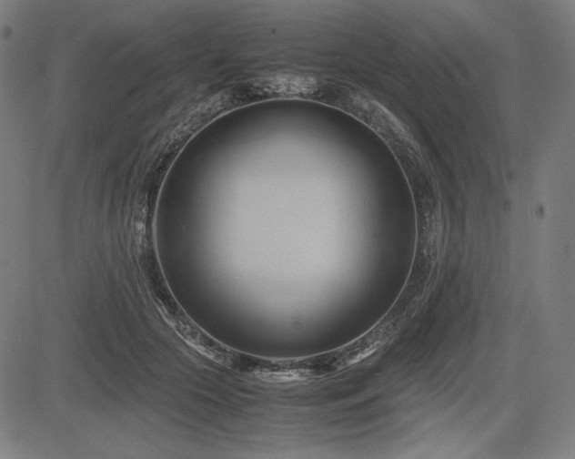 X0000083620553200702121143