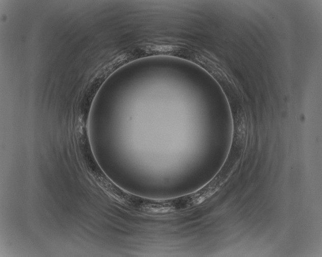 X0000083620555200702121143