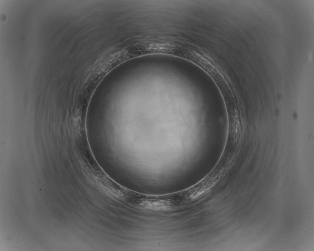 X0000083620557200702121143