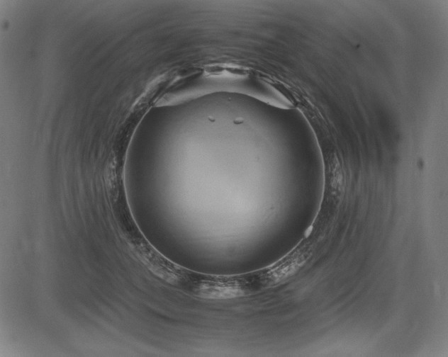 X0000083620559200702121143