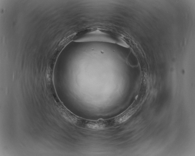 X0000083620561200702121143
