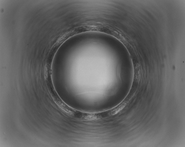 X0000083620562200702121143