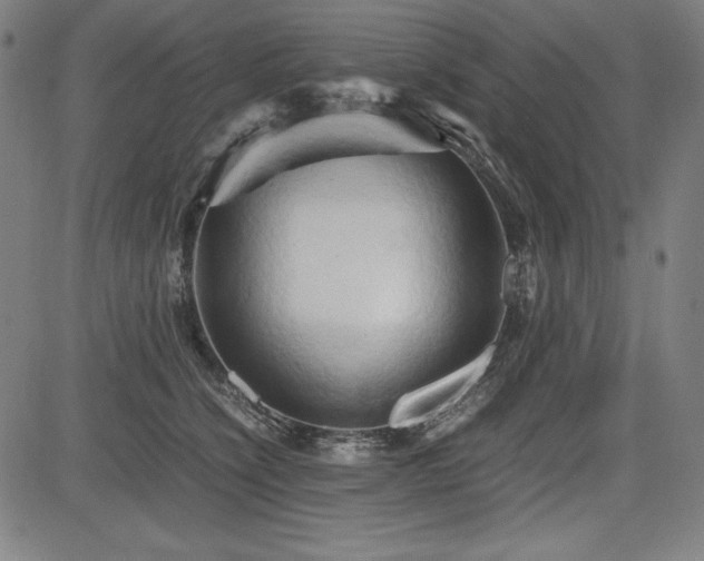 X0000083620564200702121143