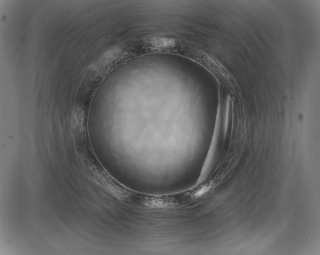 X0000083620565200702121143
