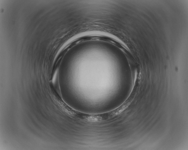 X0000083620566200702121143