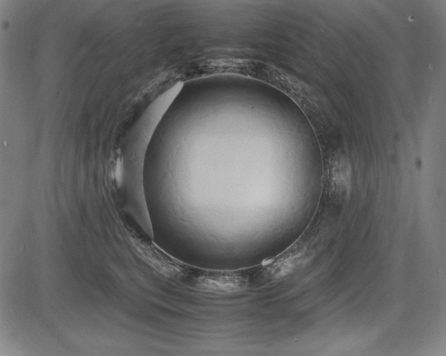 X0000083620567200702121143