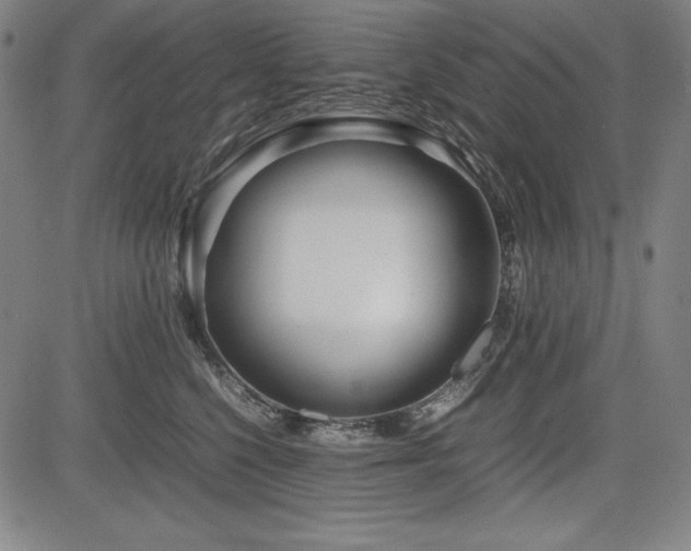 X0000083620568200702121143
